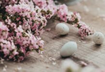 Αυτά είναι τα 9 λουλούδια του Πάσχα