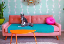 Ένα σπίτι 66 χρόνων μεταμορφώθηκε σε μια… ρετρό πανδαισία