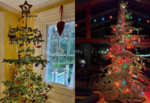 Τα viral… αδυνατισμένα χριστουγεννιάτικα δέντρα