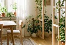 Μια έξυπνη λύση για μια πράσινη γωνιά μέσα στο σπίτι