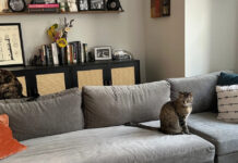 Πριν και Μετά: Ένα διαμέρισμα 55τ.μ. άλλαξε με… δύο μαροκινά χαλιά!