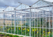 Ένα μικροσκοπικό σπίτι φτιαγμένο μέσα σε… θερμοκήπιο