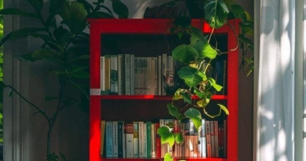 red (7)